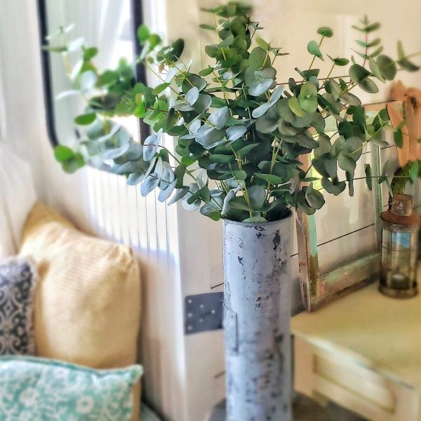 faux eucalyptus branches in a vintage newspaper holder