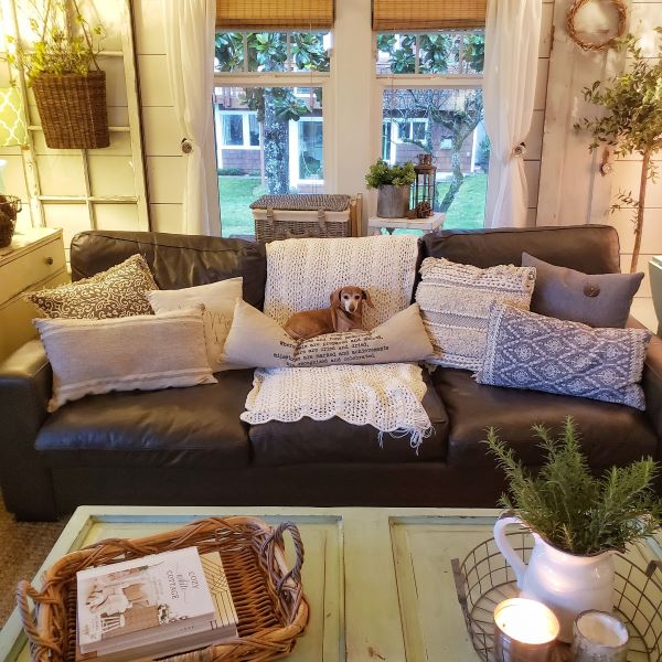 greenery, neutral and chunky pillows and throw blankets on a leather couch