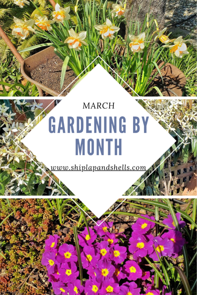 Gardening By Month in the PNW March Shiplap and Shells