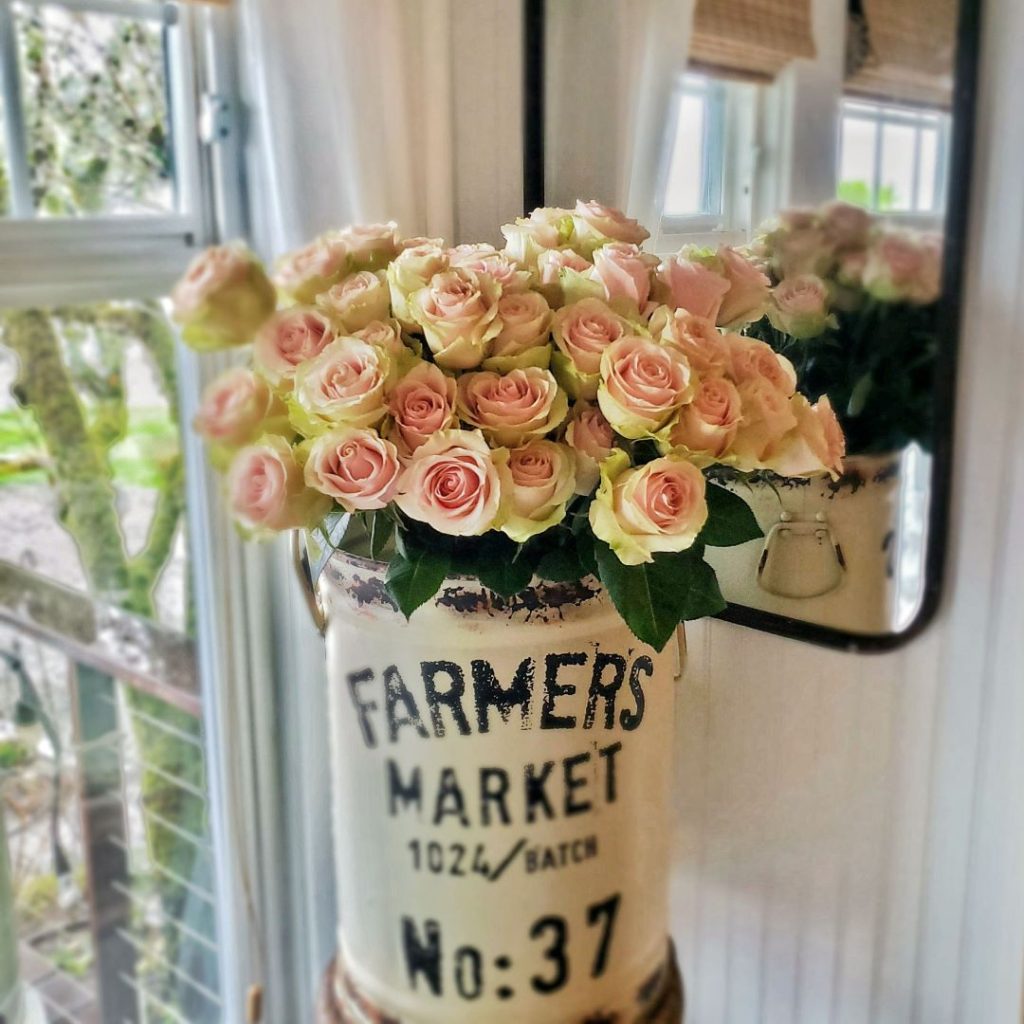 Fresh pink roses in a farmers market container.