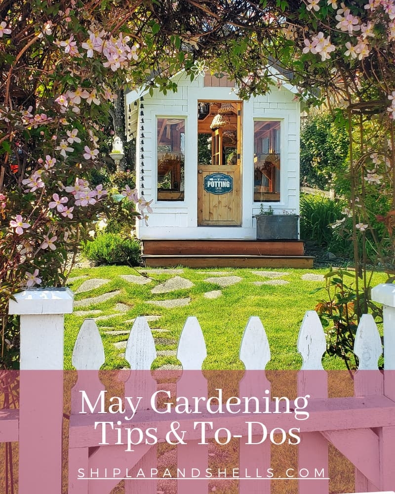 May gardening to dos graphic