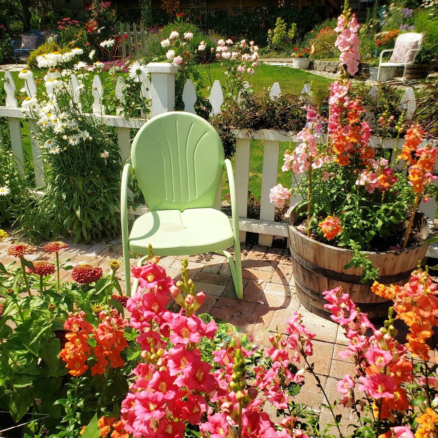 Green vintage chair surrounded by snapdragons