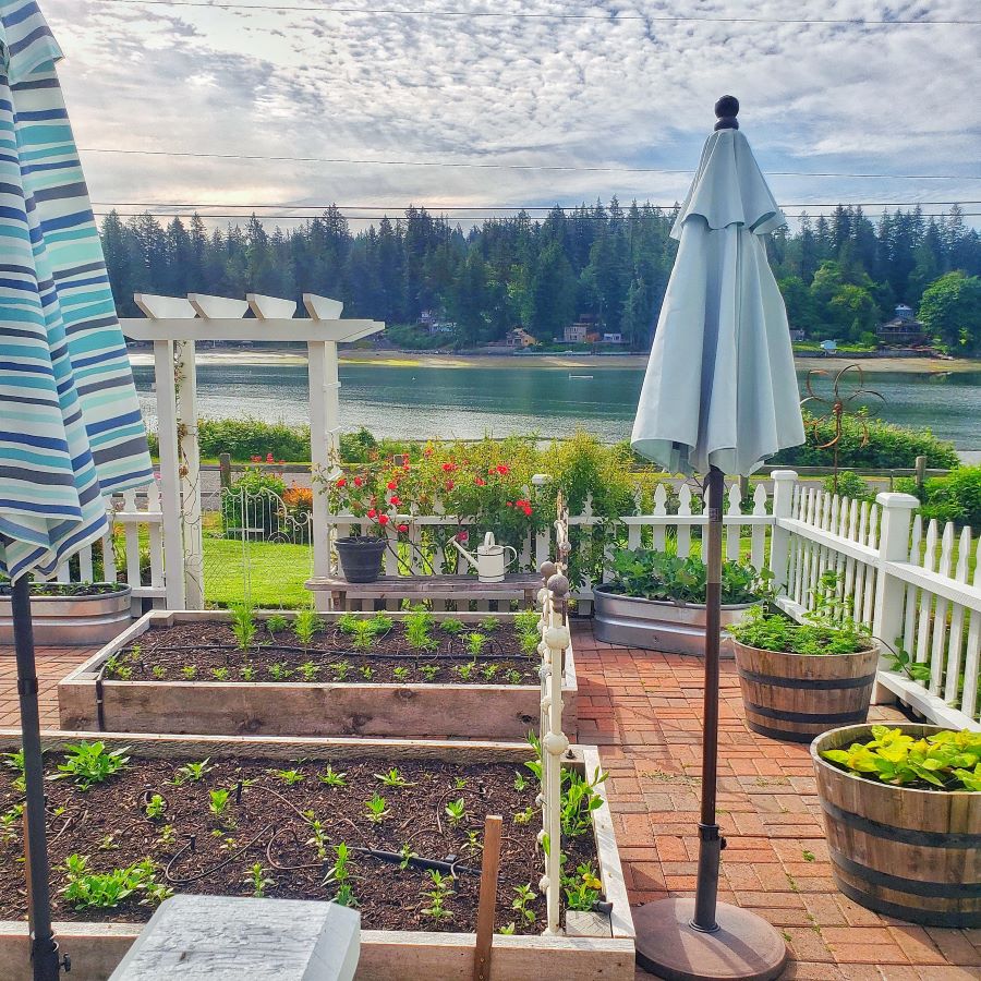 Raised bed garden surrounded by a white picket fence and water view.