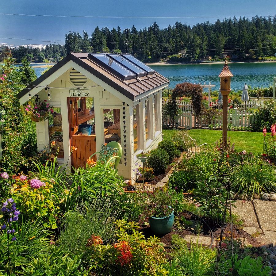 greenhouse and birdhouse overlooking the Puget Sound