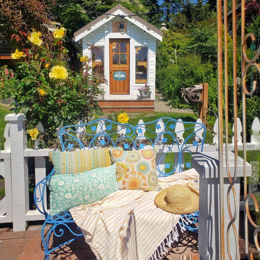 greenhouse and bright blue iron bench and yellow roses