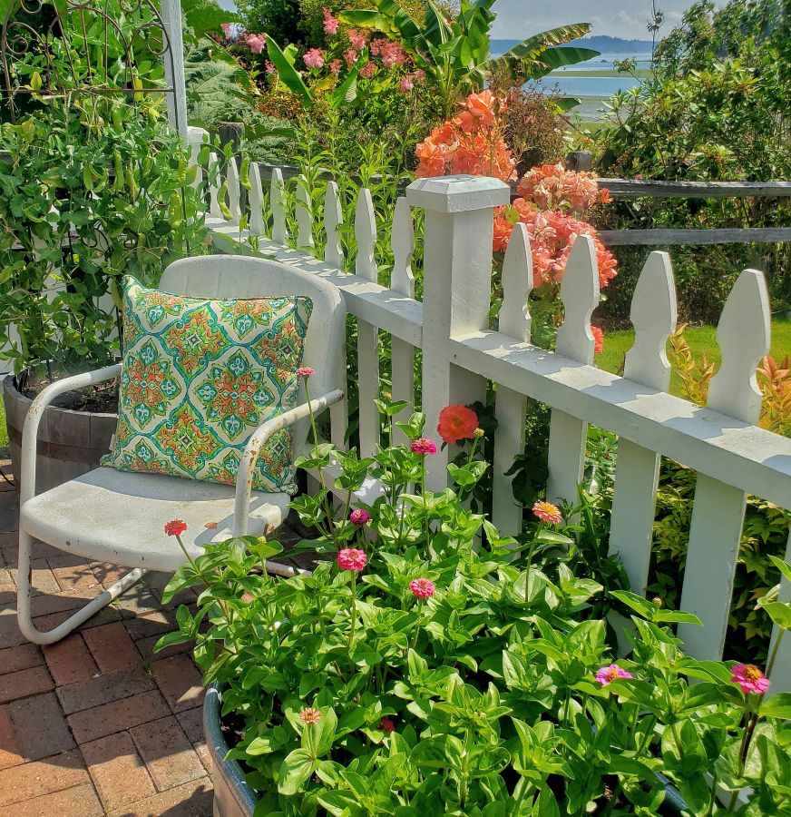white picket fence, white vintage metal chair and zinnias
