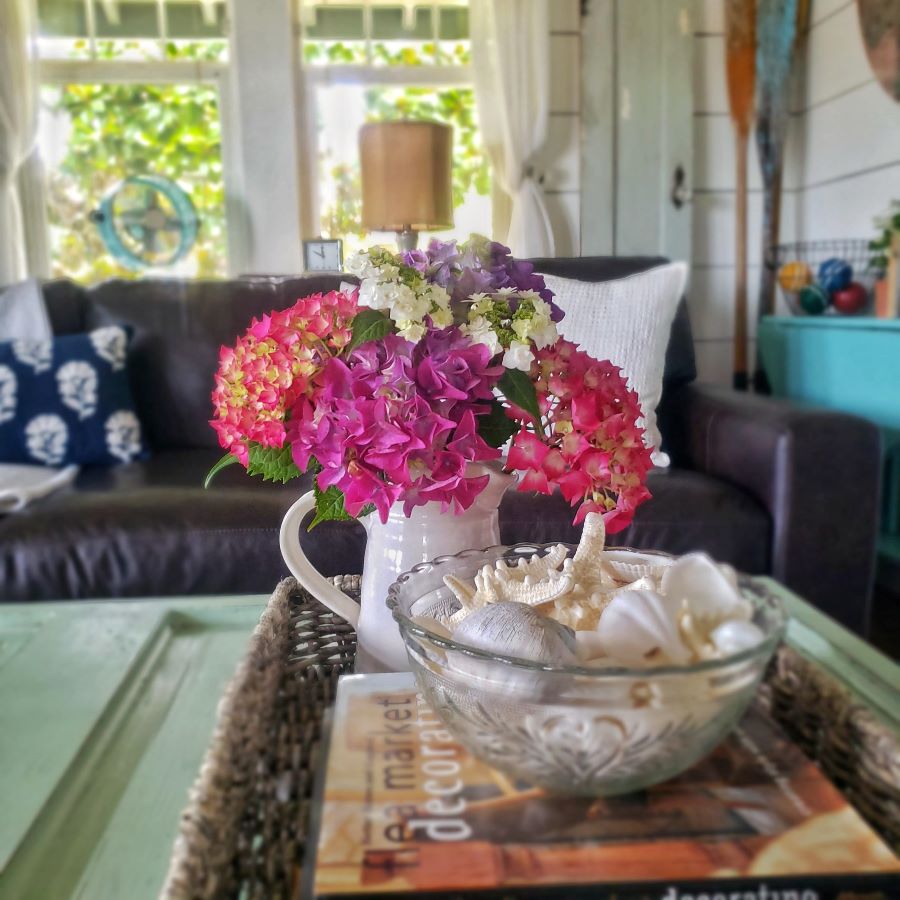 hydrangeas in white pitcher and seashells for summer living room decor