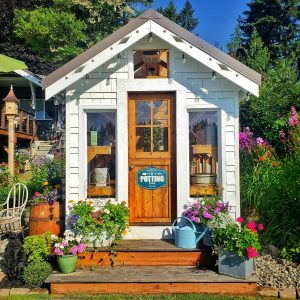 A Greenhouse For Every Season - Shiplap and Shells