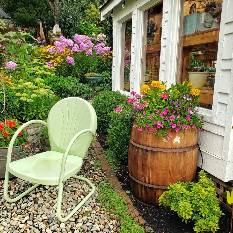 Late summer garden tour with a whiskey barrel with flowers growing out of it and green vintage chair