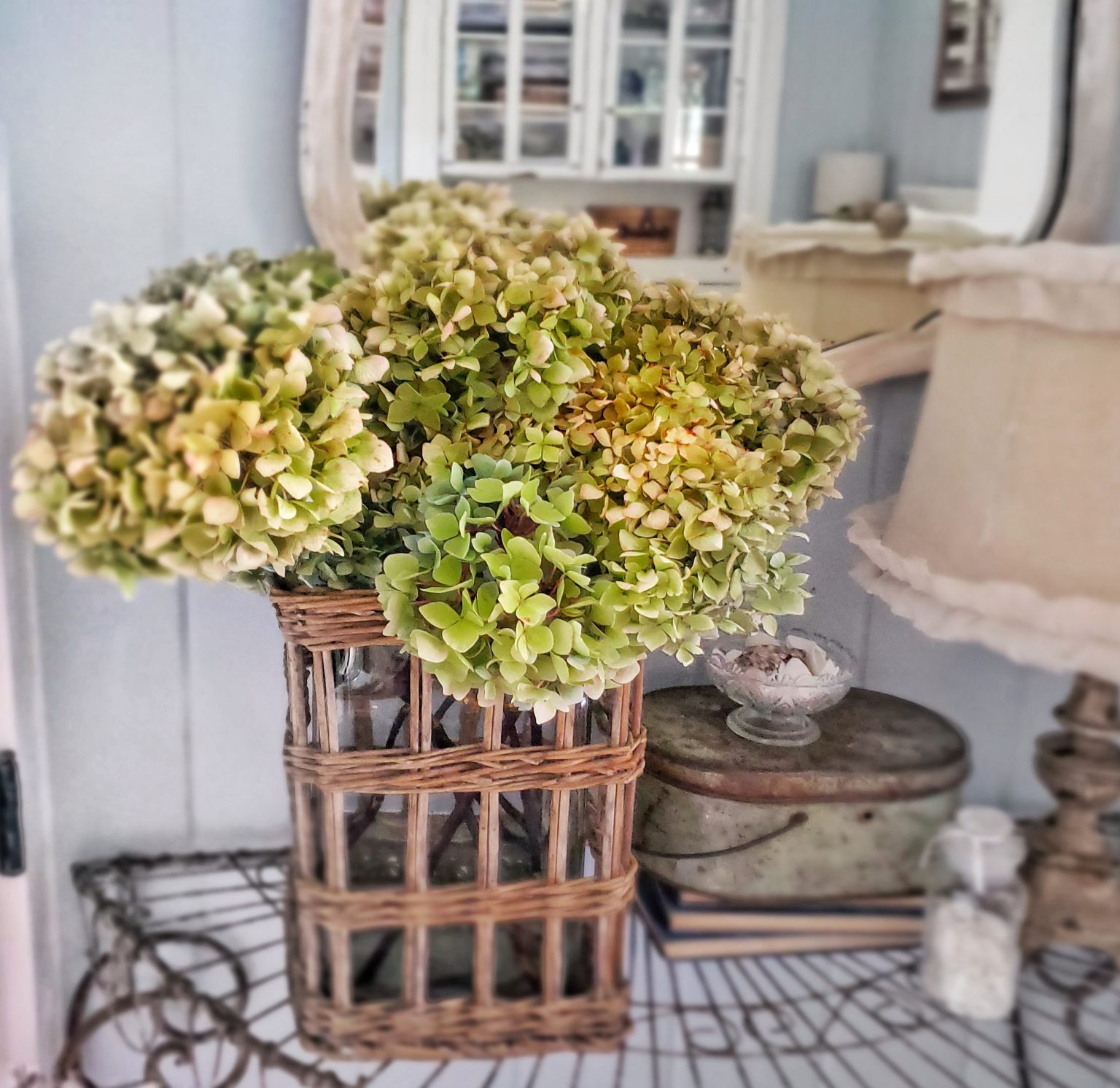 3 Easy Ways To Dry Hydrangeas Shiplap And Shells