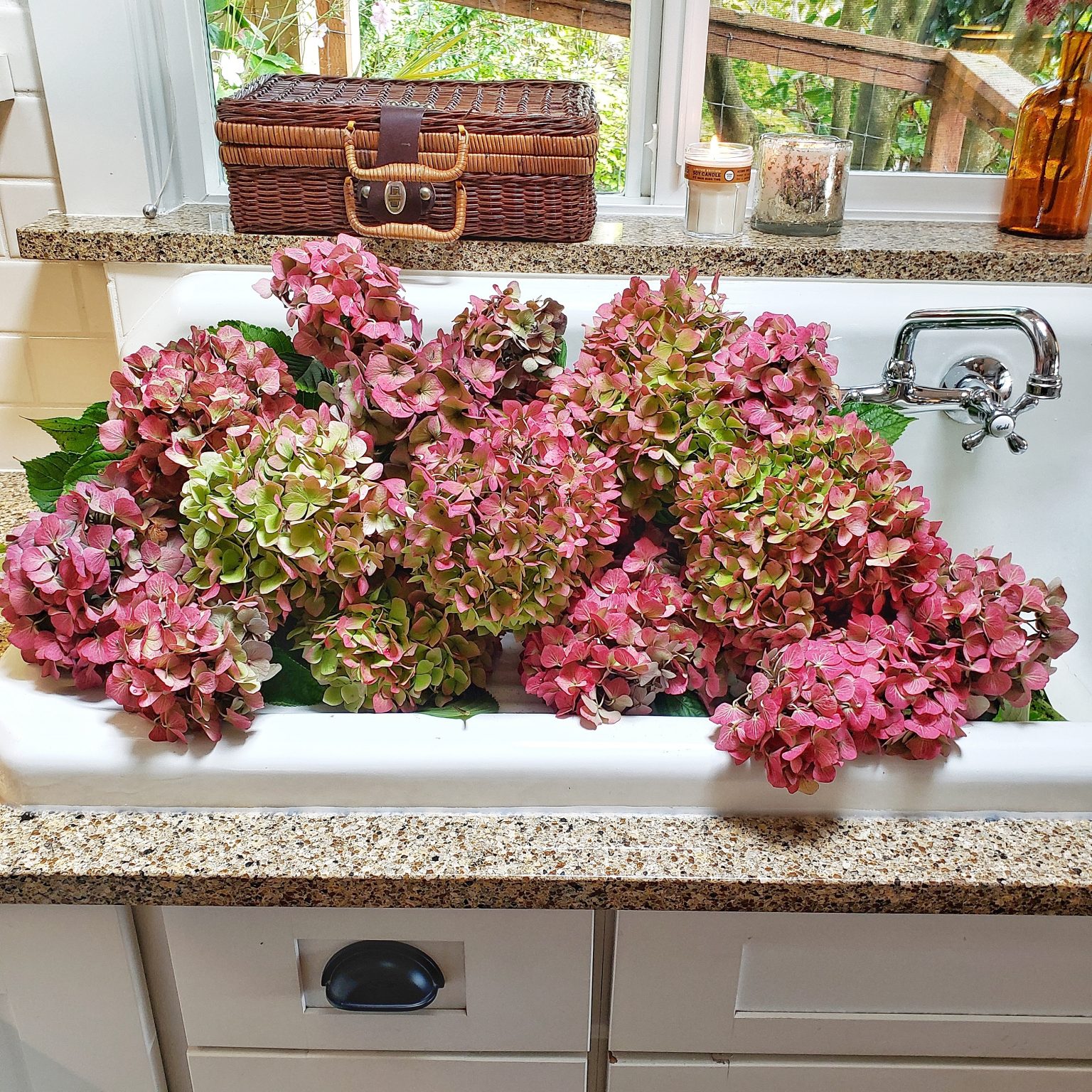 3-easy-ways-to-dry-hydrangeas-shiplap-and-shells