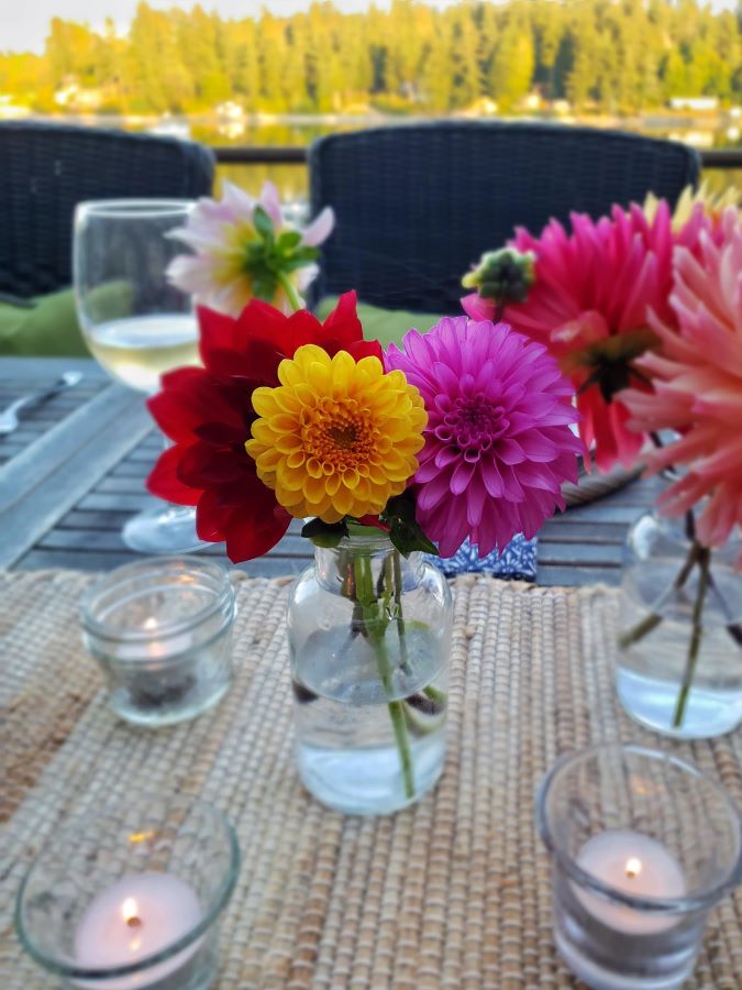 all you've ever wanted to know about dahlias