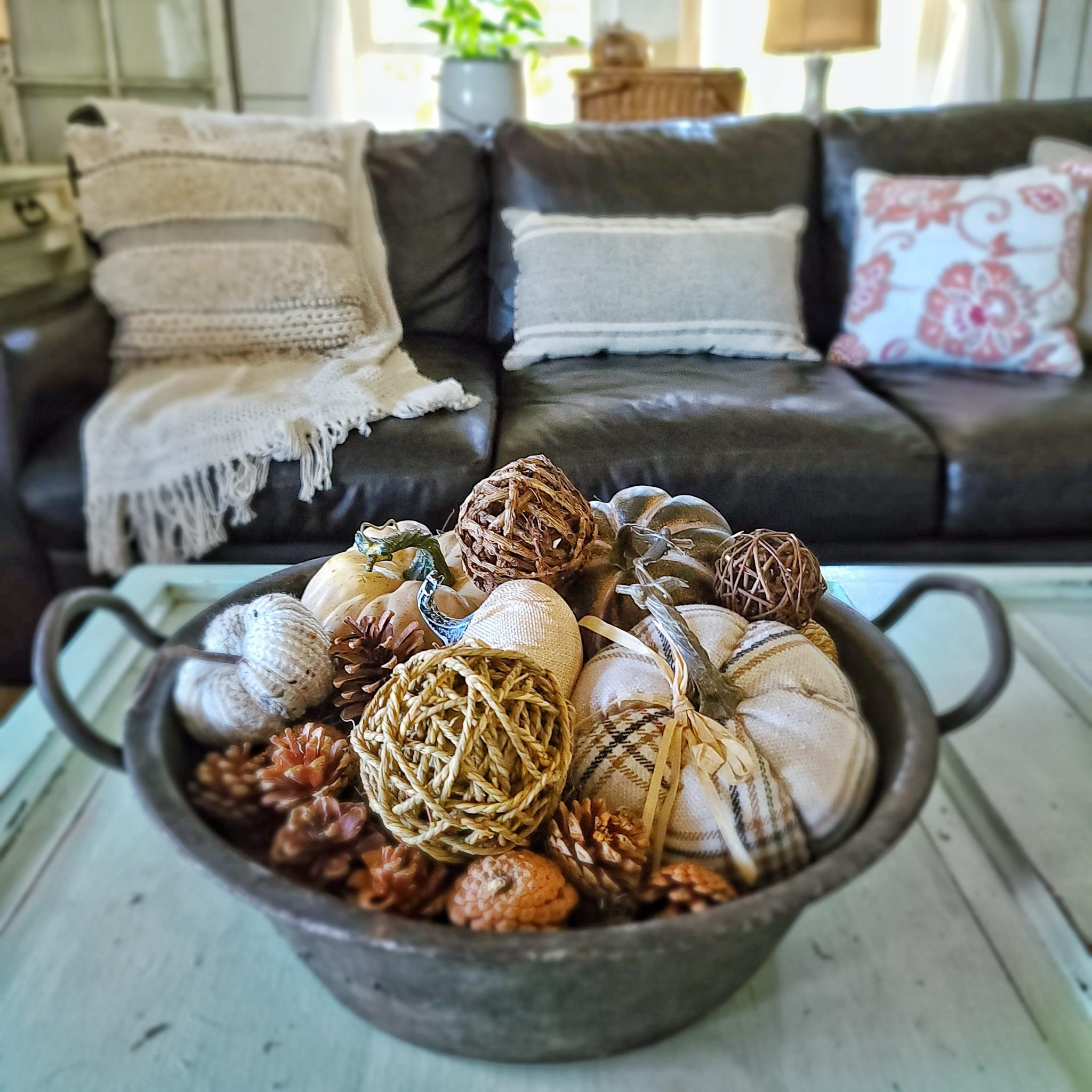 Cozy Up To Fall Home Tour - Shiplap and Shells