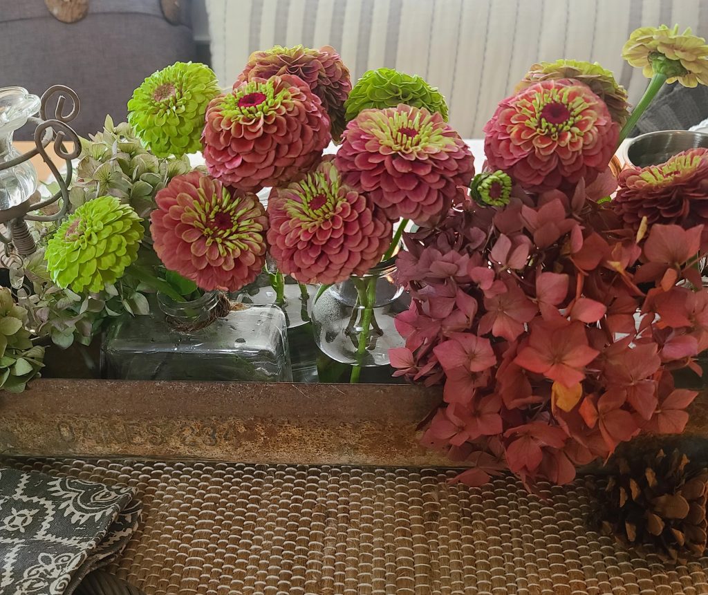 green and pink zinnias and pink hydrangeas 