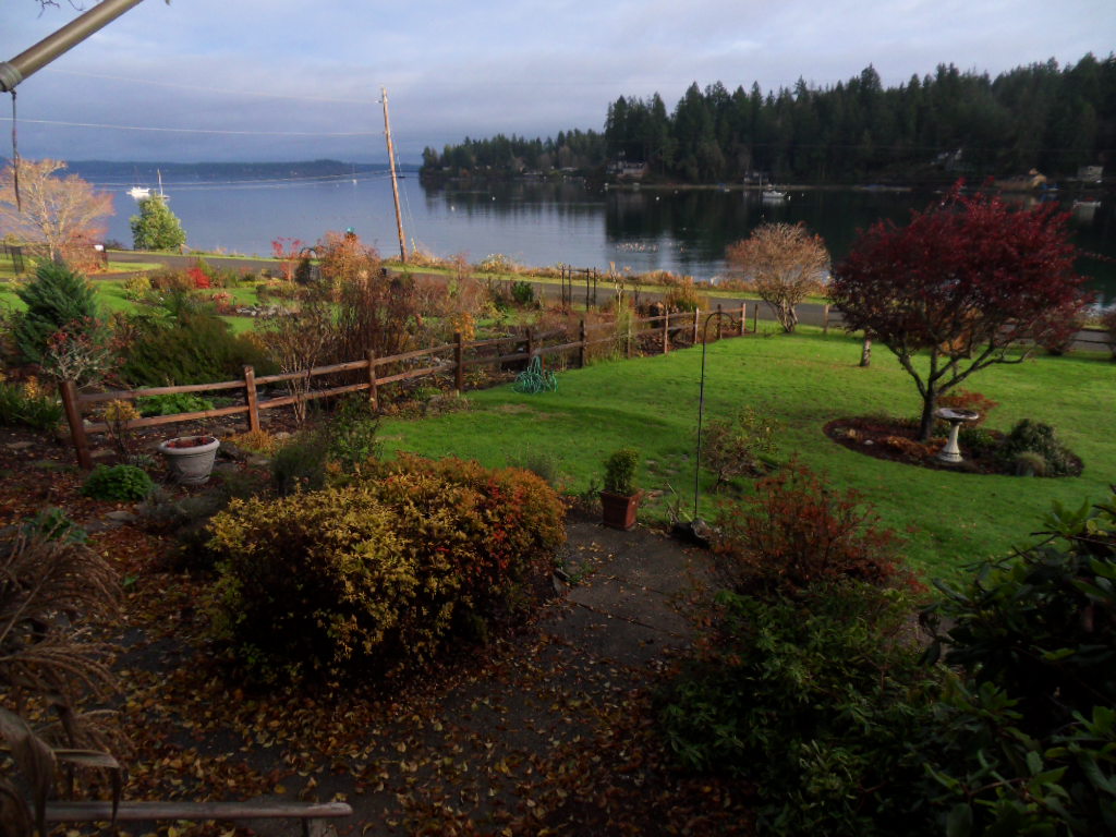 Fall view of the Puget Sound