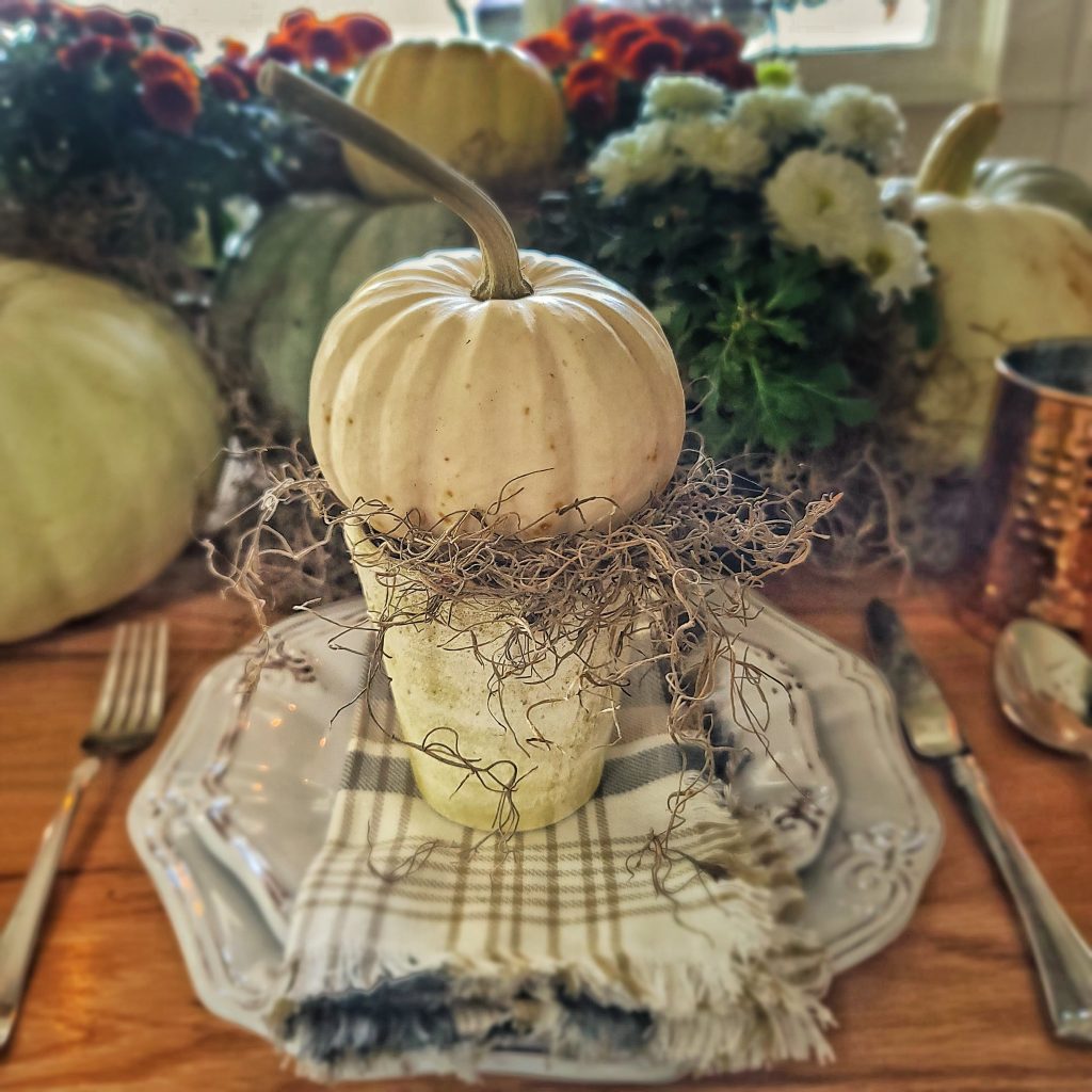 table setting with white pumpkin on a terra cotta pot