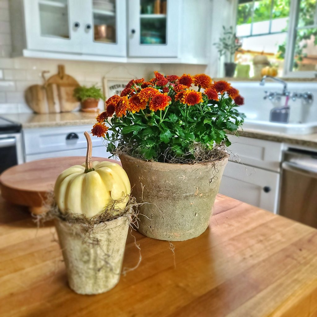 pot of orange mums and pumpkin on kitchen island