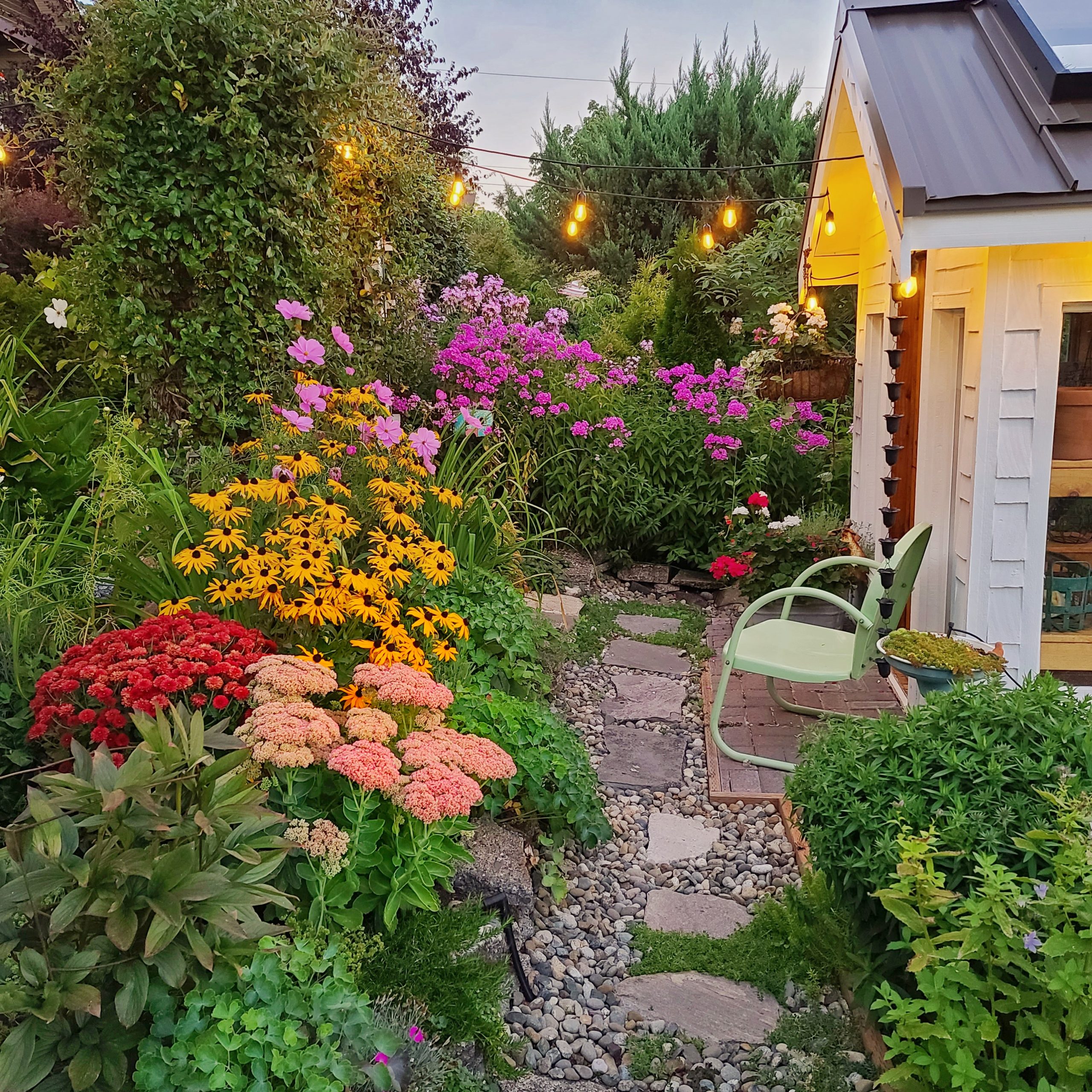 Fall cottage garden flowers ready to cut back