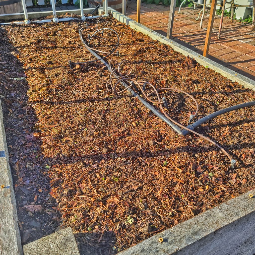 layer of mulch on top of the raised beds
