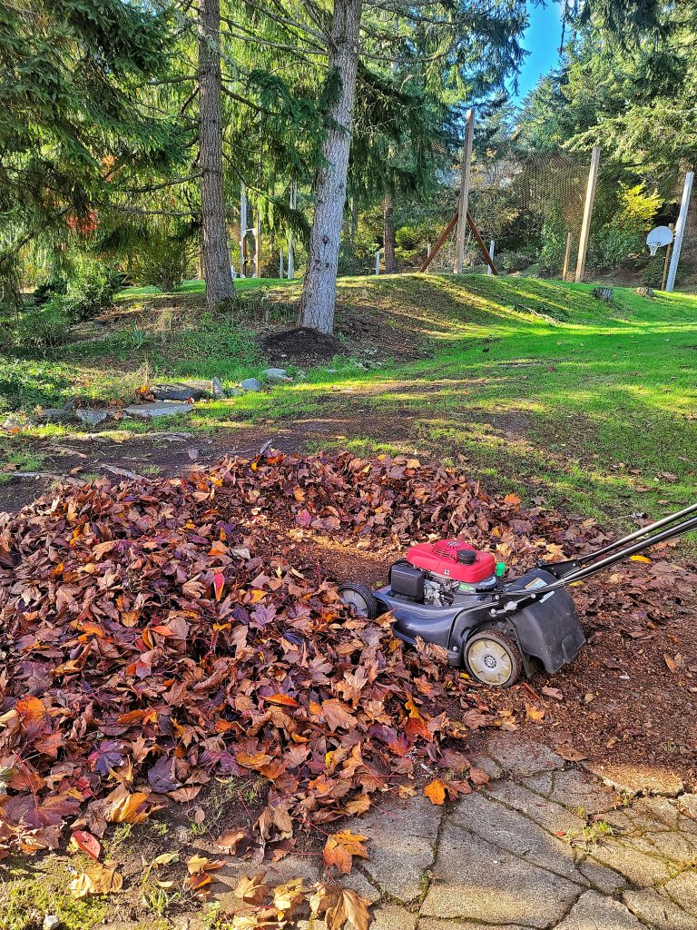 Benefits of Leaf Litter Mulch in the Garden: lawnmower