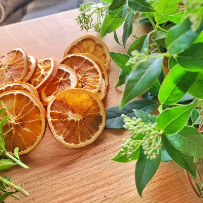 How to Make Dried Orange Slices for Your Holiday Projects