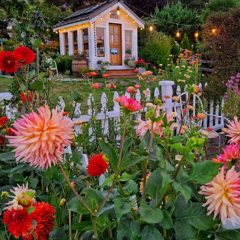 Top garden post: Summer greenhouse view with fresh cut flower garden.