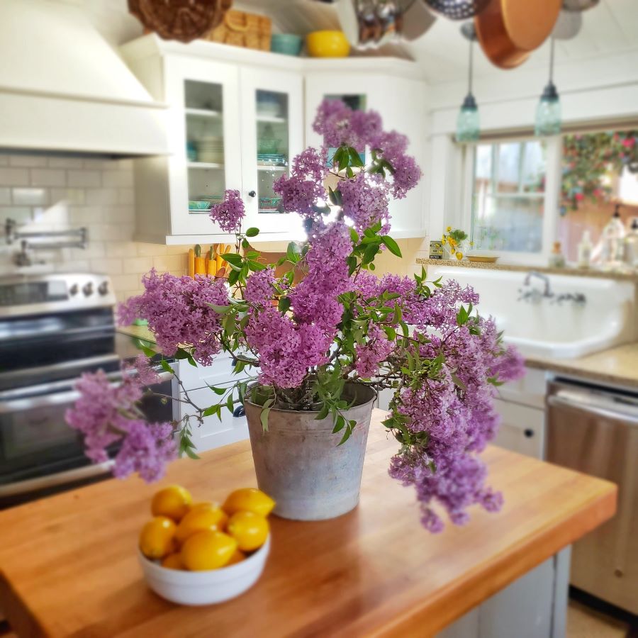 Top posts: A galvanized bucket of lilacs and some lemons on a butcher block island