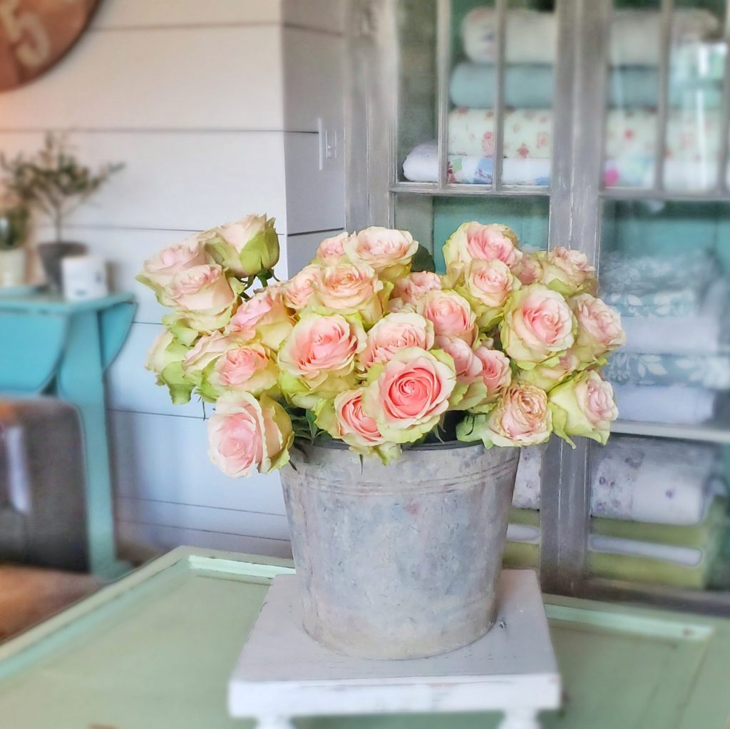 pink roses in galvanized bucket on coffee table