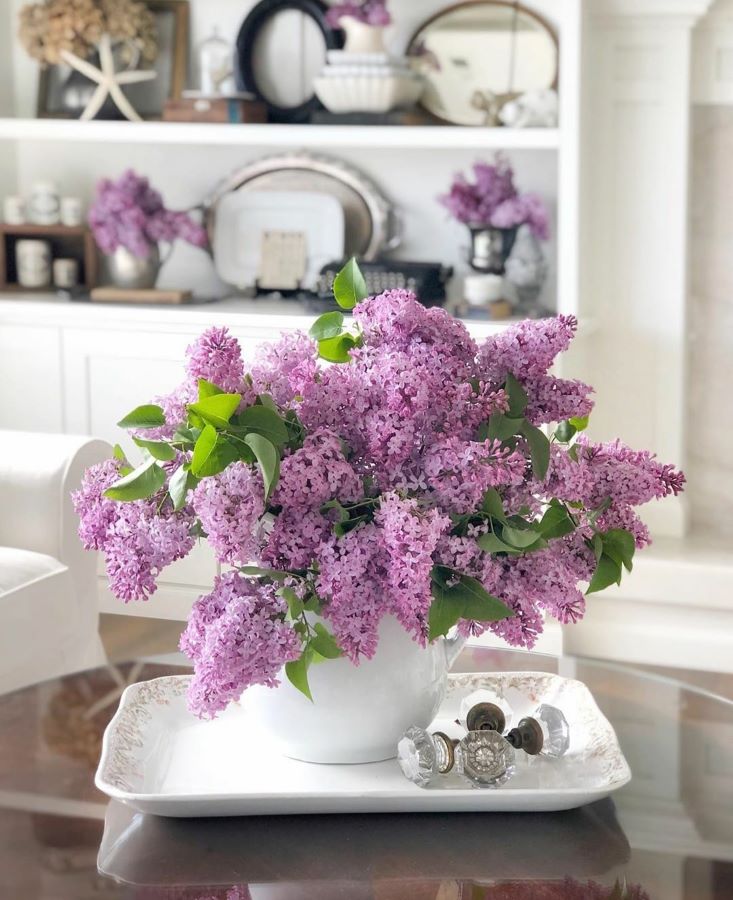lilacs in a white ironstone container