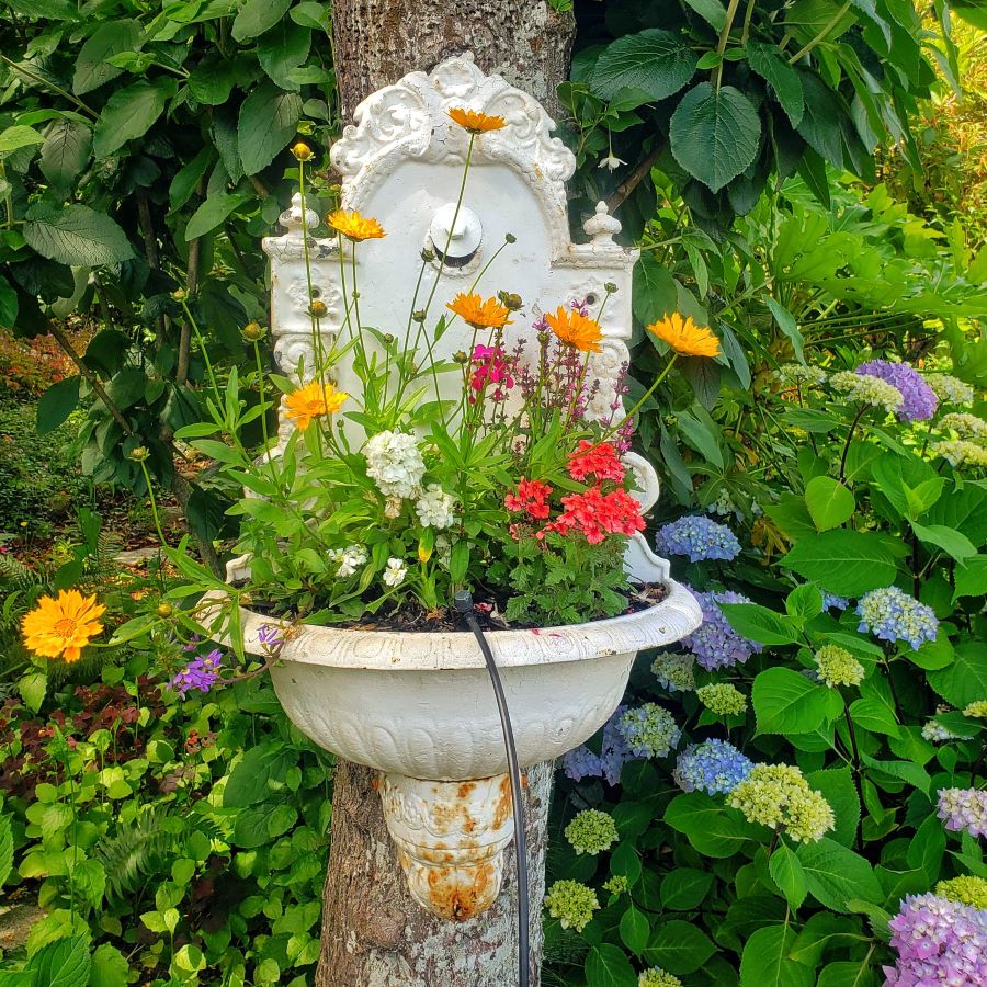 cast iron mounted fountain as a container filled with flowers