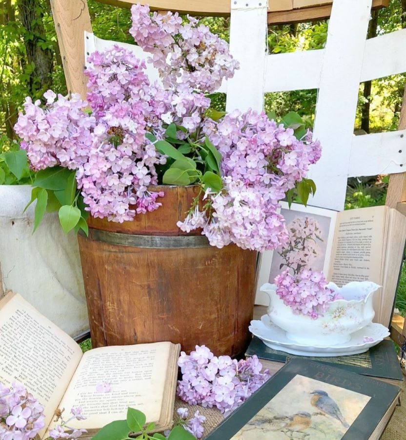 wooden bucket with lilacs in it 
