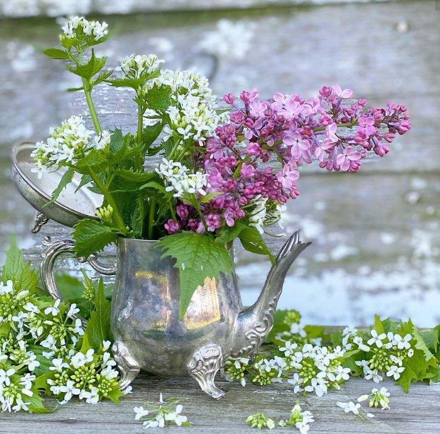 flowers in silver tea set