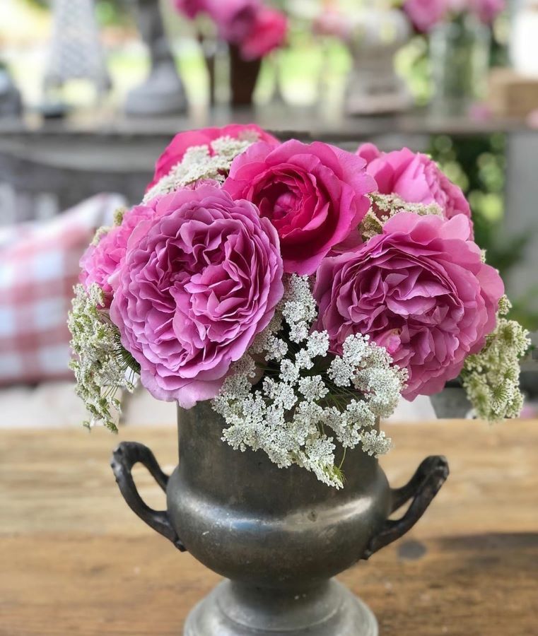 flowers in a silver cup as a creative flower container