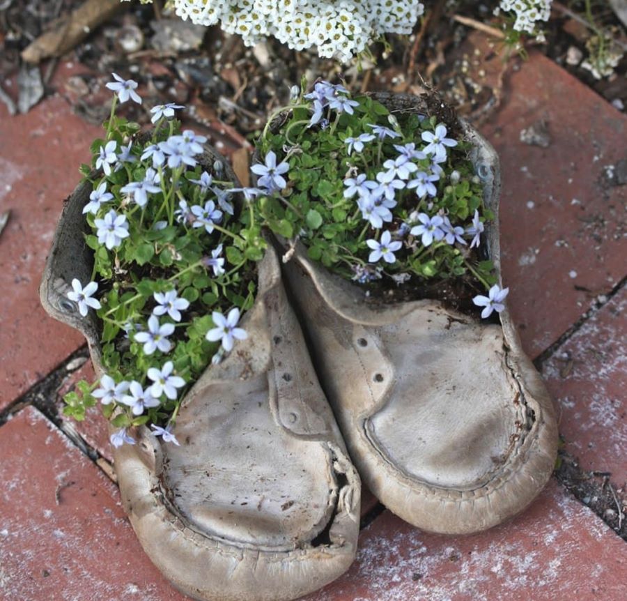 flowers in vintage shoes