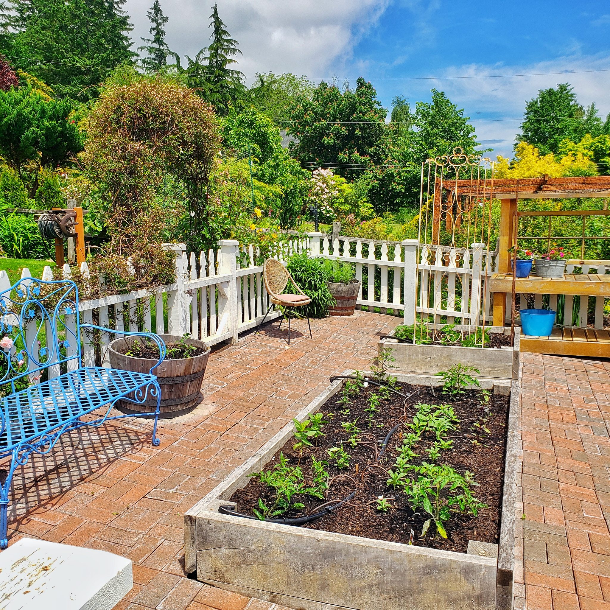 How to Prepare Your Cut Flower Garden Beds Shiplap and Shells
