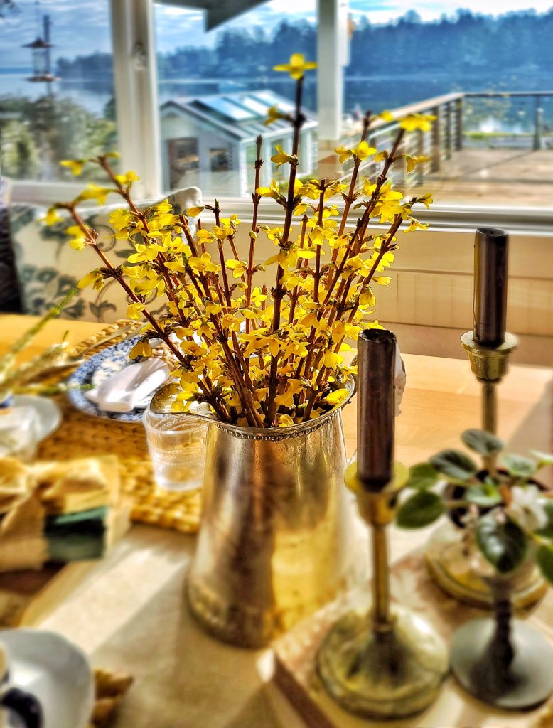 forsythia in a silver vintage pitcher