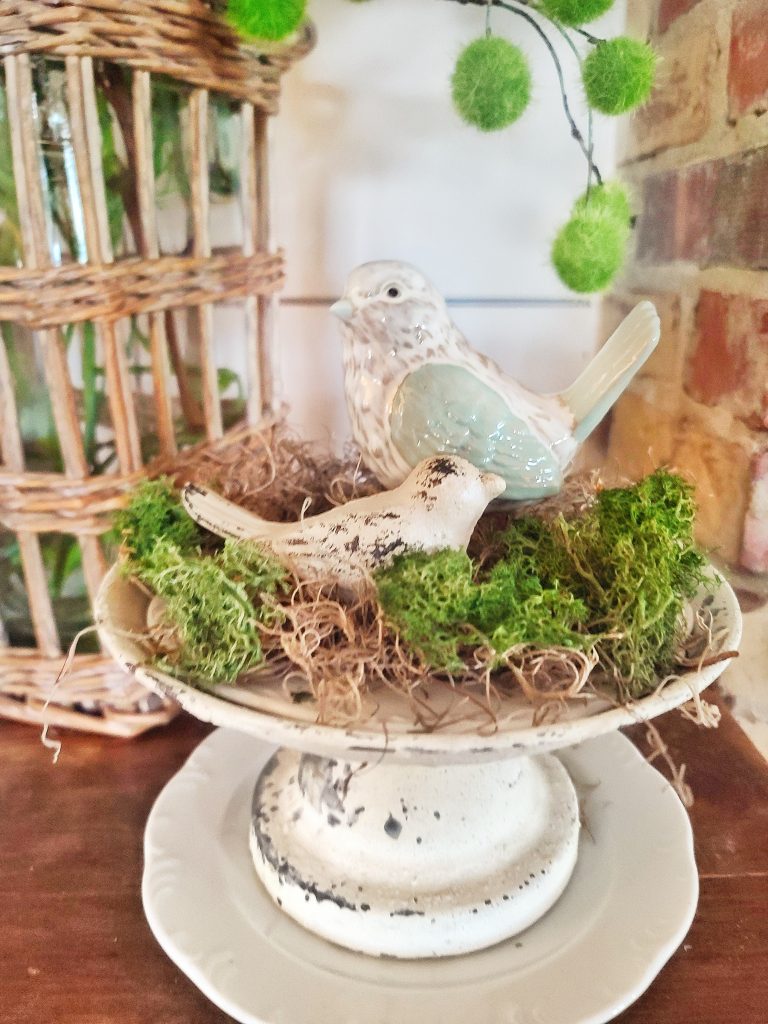 birds and moss on a riser