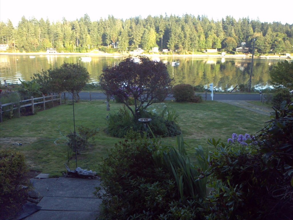 yard overlooking the Puget Sound