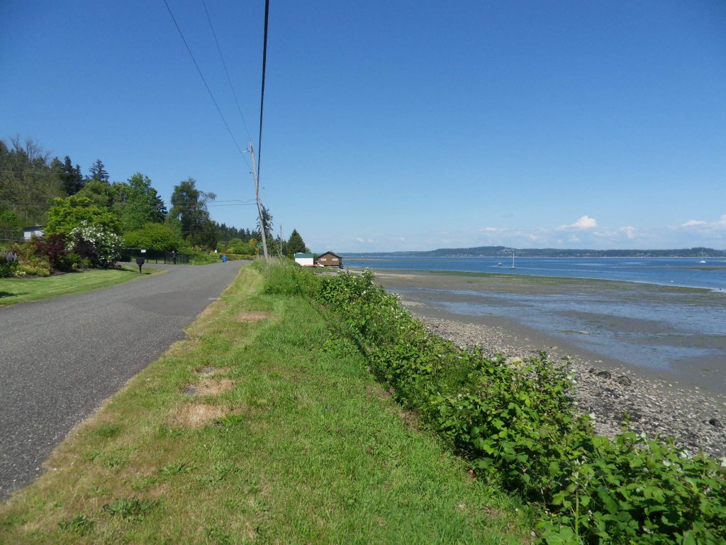 Country road with puget Sound view 