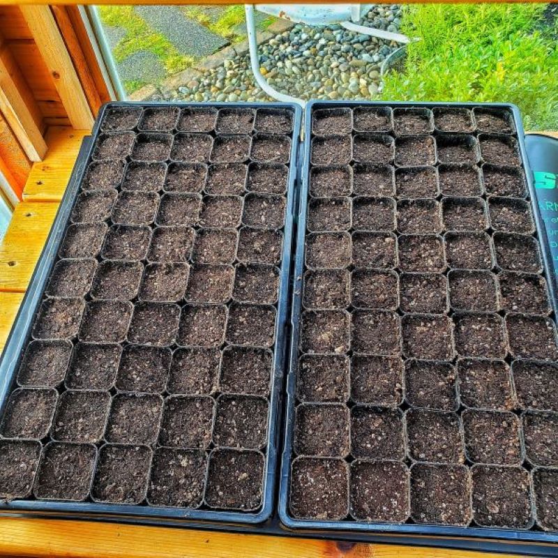 seed starting supplies: cell trays filled with seed starting mix
