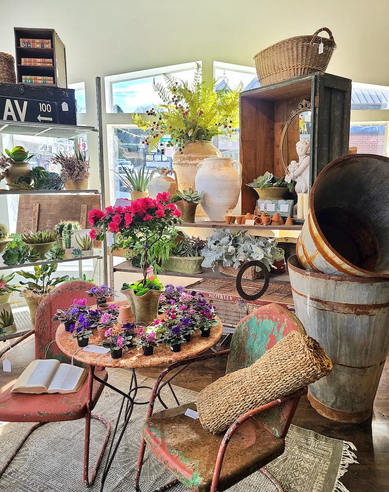 Thrifting with the Gals Details Home and Design vintage pieces and flowering plants.
