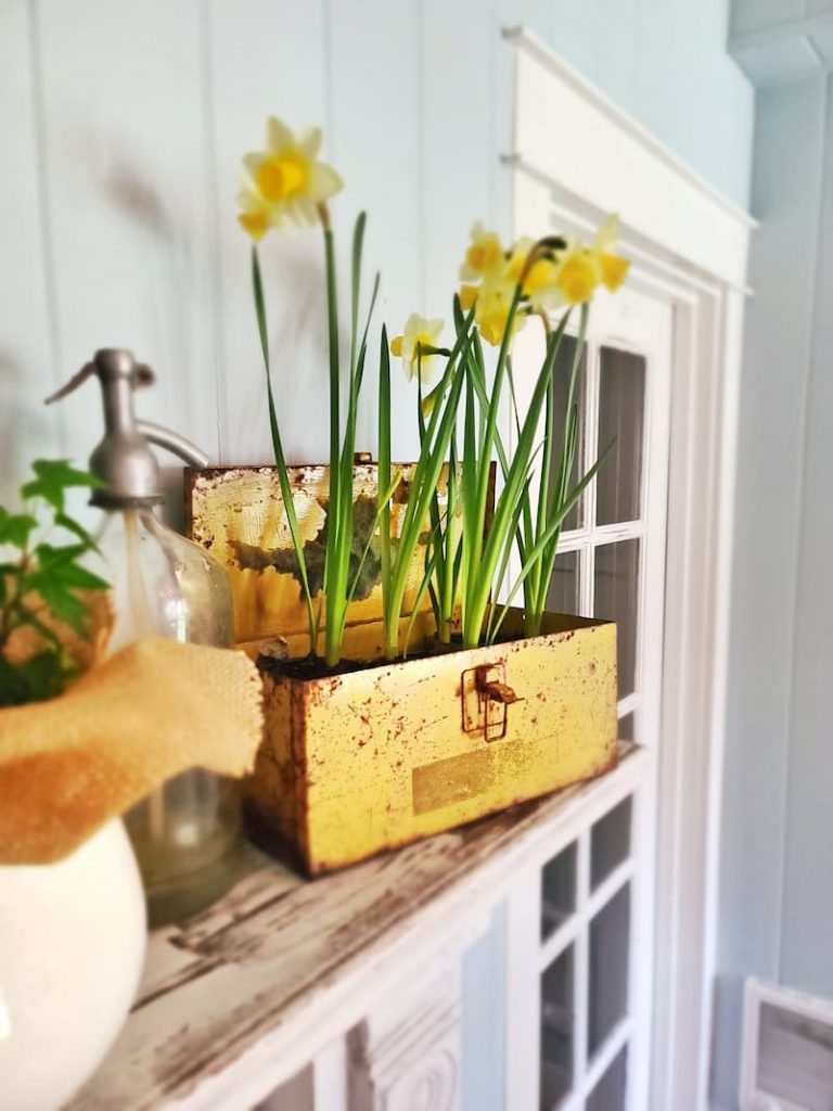 rusty vintage yellow toolbox with daffodils on mantel