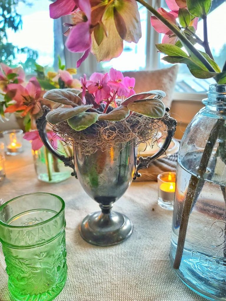 African violet in a silver vintage cup