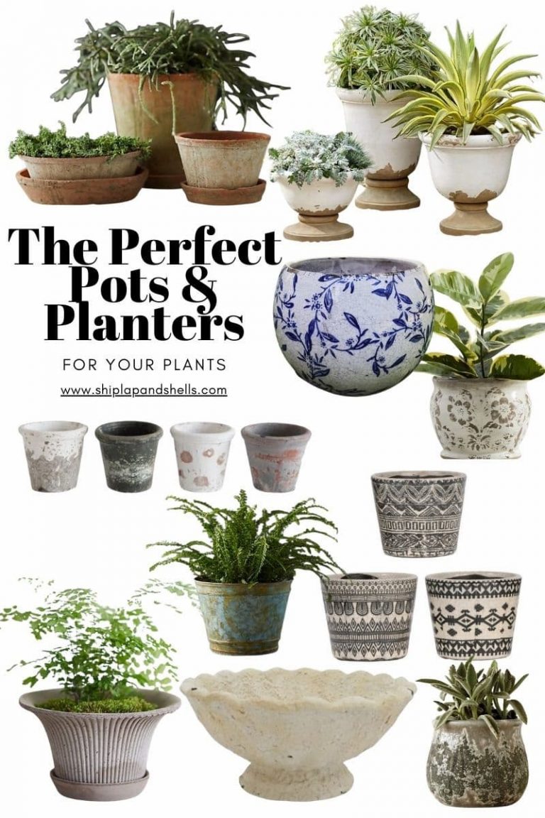 What’s New:  Pots and Planters For This Season