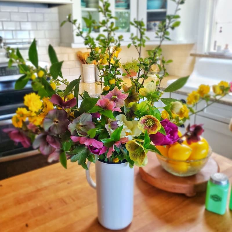 fresh cut spring flowers in pitcher