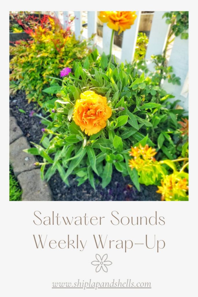 Saltwater Sounds Weekly Wrap-up