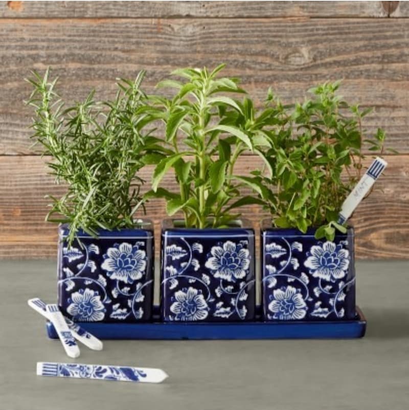  blue and white herb starter set from Williams Sonoma for $68.95.