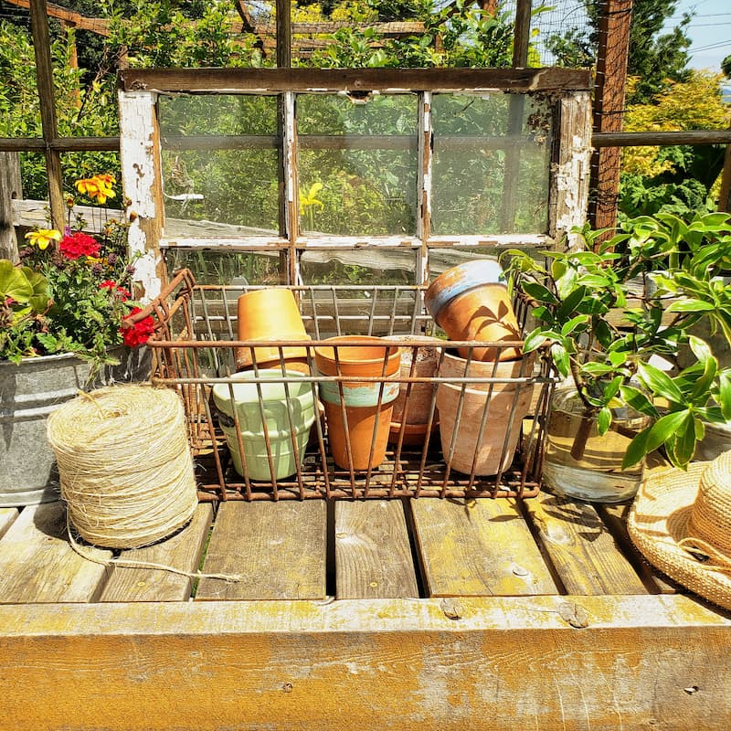 Vintage windows create interest in our cottage garden, including this one on our potting bench.
