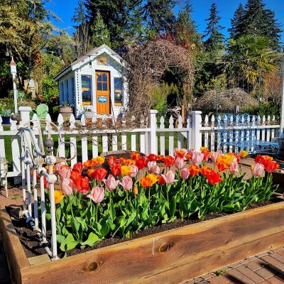 10 Tips and Tricks for Planting Stunning Spring-Blooming Bulbs in the Fall Season