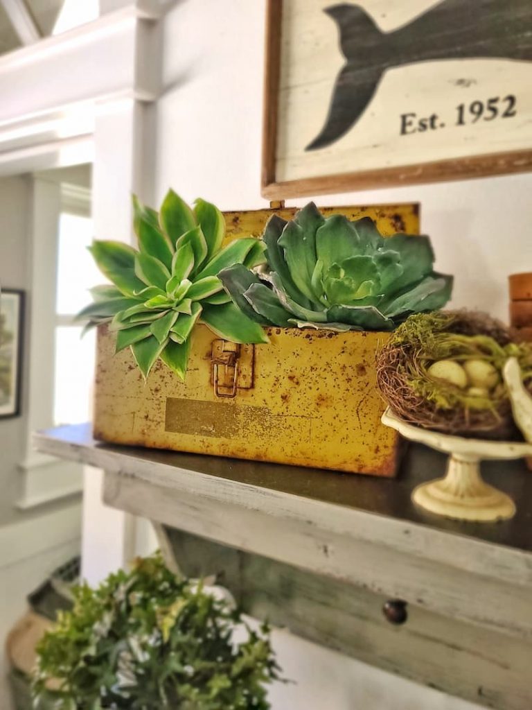  faux succulents in this rusty vintage toolbox.